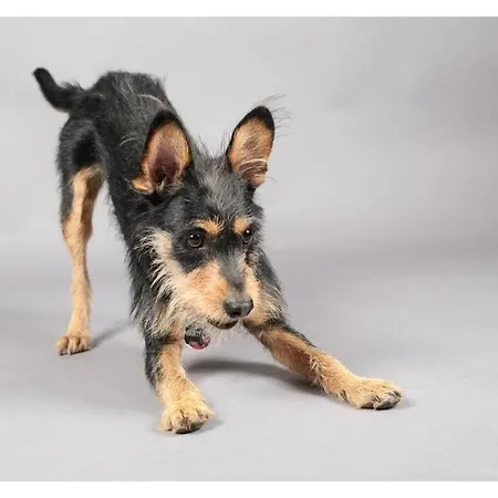 Valley Station Modern Retreat