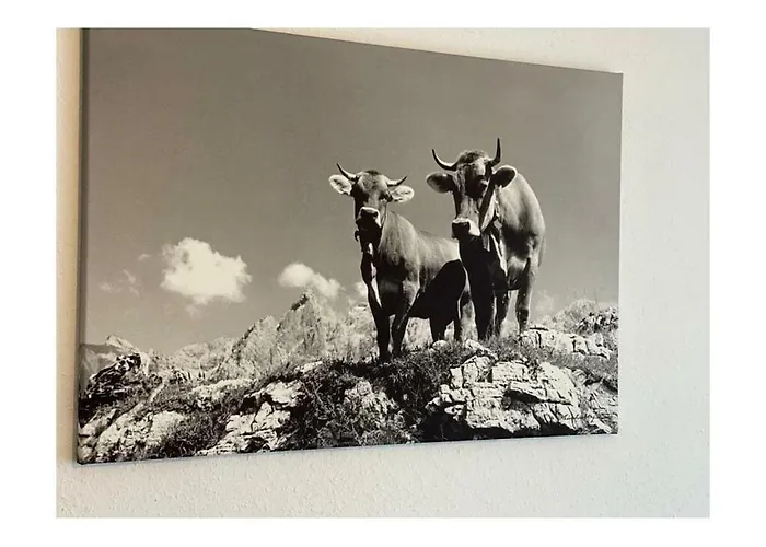 Valley Station Modern Retreat